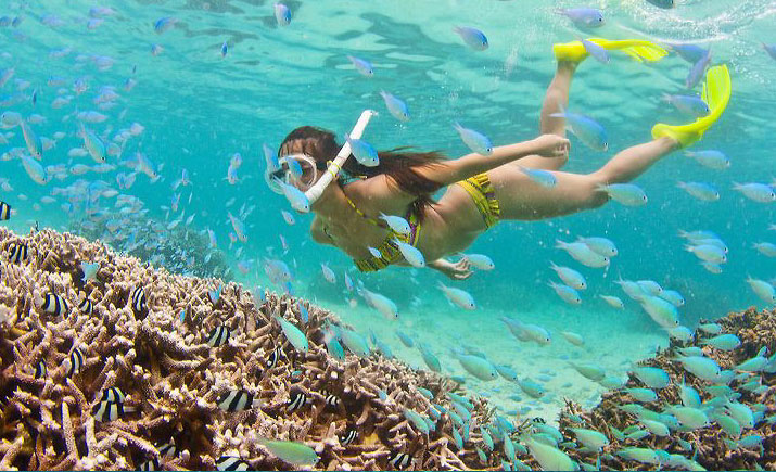 Snorkeling - Sri Lanka